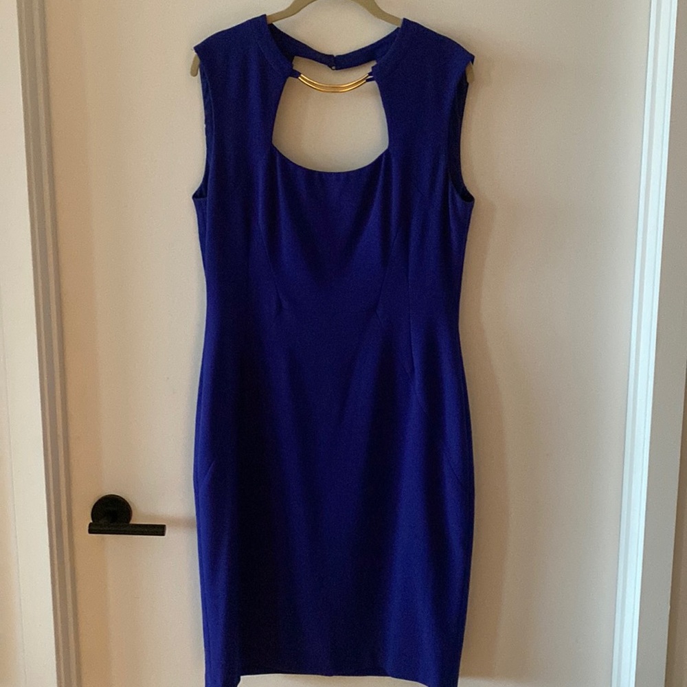 BCBG Maxazaria formal dress